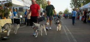 2011-03-26_08-35-38_917