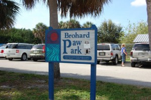 dog beach venice florida