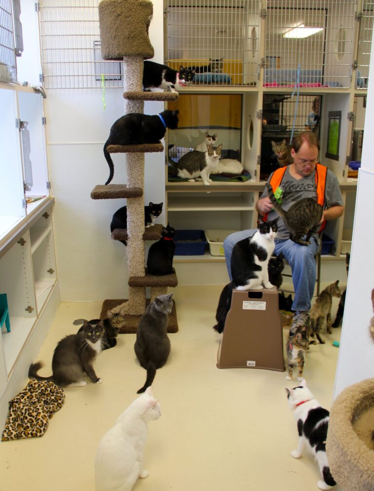 IMG_5430 Sarasota Dog