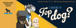 top-dog-home