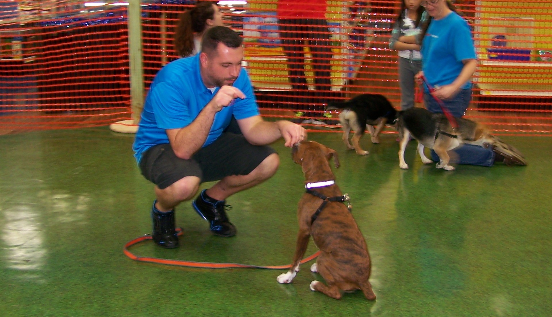 Training Tuesdays The Power of Positive Dog Training Sarasota Dog