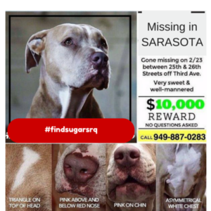 MISSINGFLYER