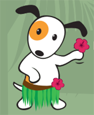 Bow Wow Luau - Sunday May 22nd | Sarasota Dog