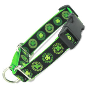 St Paddy's Day Dog Collar | Sarasota Dog