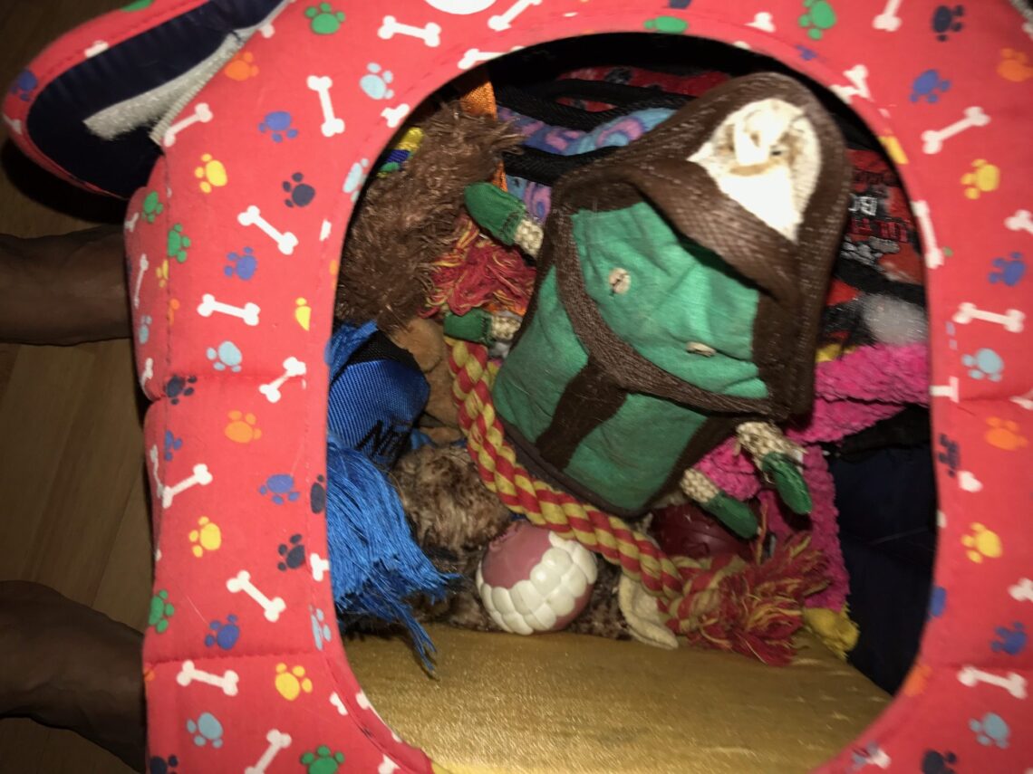 Dog Toy Repair fixing the toys you already have squeakers and all