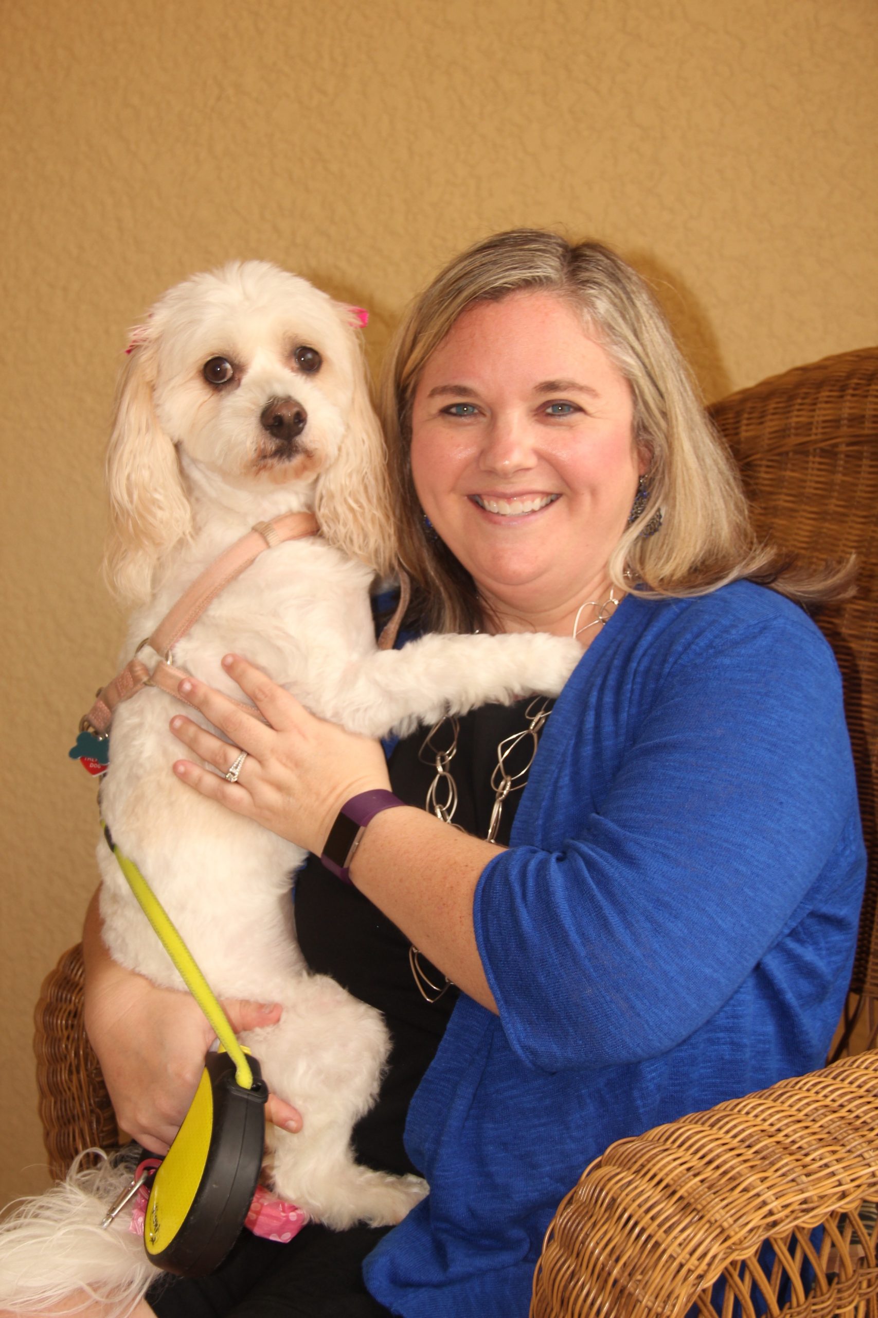 IMG_0535 Sarasota Dog