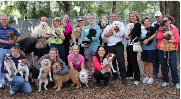 Small Breed Dog Meetup | Sarasota Dog