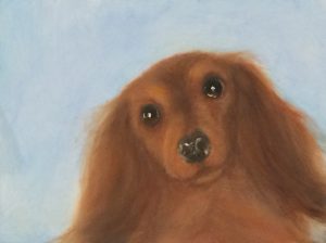 Mary McEwan Art | Sarasota Dog