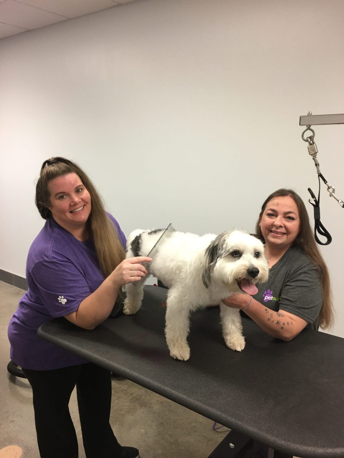 IMG_3872 groomers(1) Sarasota Dog