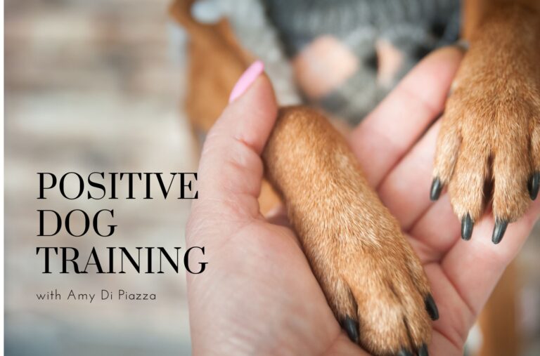 Positive Dog Training