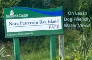 Dog Friendly Park on Siesta key