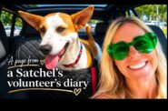 Satchel's Last Resort volunteer_Brooke_Hann