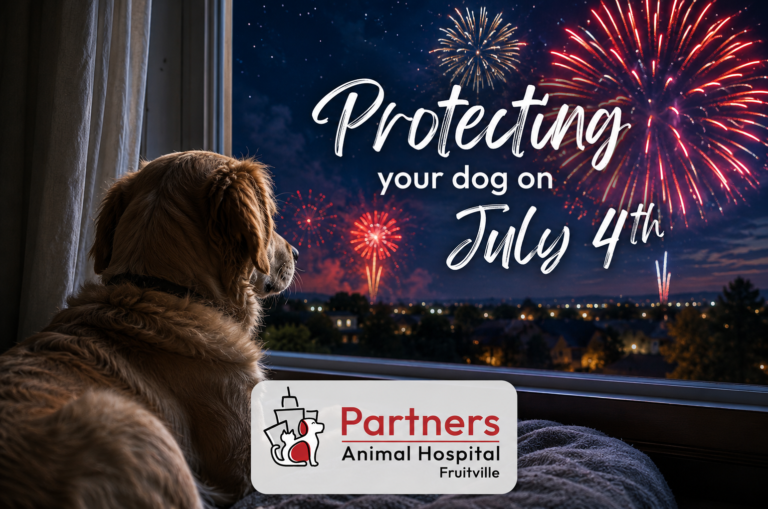 4thJulyPetsafety